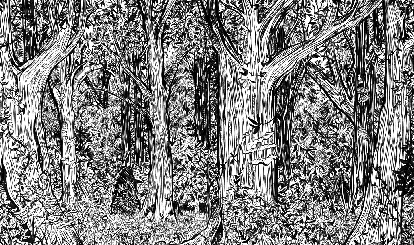 Into The Woods